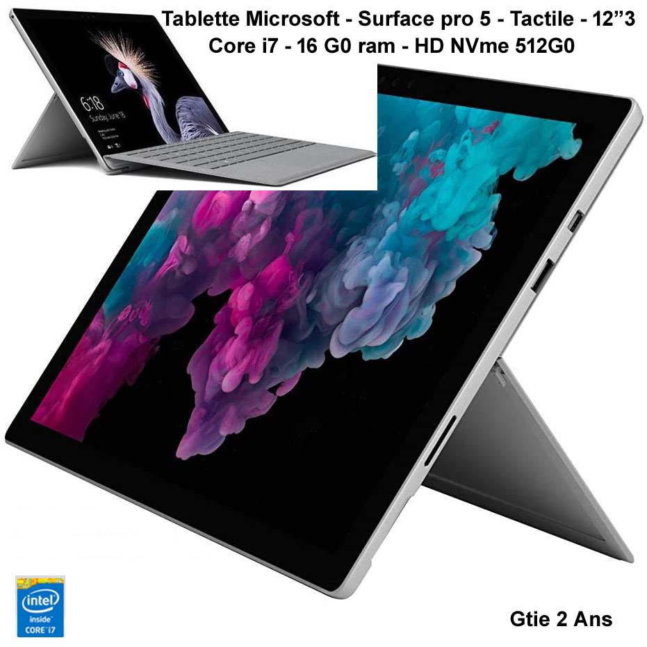 Microsoft SurfacePro Tablette Tactile Windows